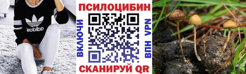 Купить  Грозный  Галлюциногенные грибы Magic Shrooms 